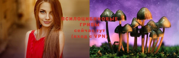 прущая мука Алзамай