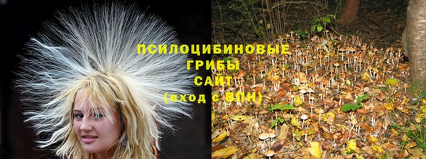 прущая мука Алзамай