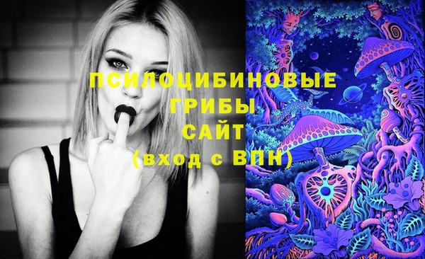 дживик Алексин