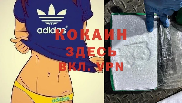 дживик Алексин